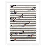 Rain Crossing | Polka Dots Zebra Crossing On The Street | Rain Eclectic Modern Graphic Design thumbnail