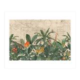 Explore The New World Wild Animals (Print Only) thumbnail