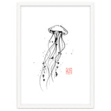 Meduse thumbnail