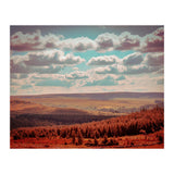 Dartmoor Forest (Print Only) thumbnail