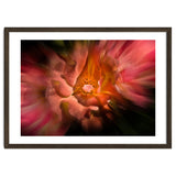 Backyard Flowers No 40 Color Flow Version thumbnail