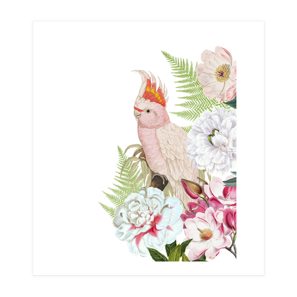 Cockatoo in Flower Jungle  (Print Only)