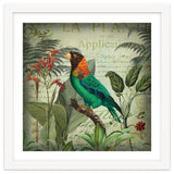 Tropical Bird Nostalgia thumbnail