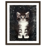 Bicolor Cute Kitten Portrait thumbnail