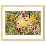Flamingo Island thumbnail
