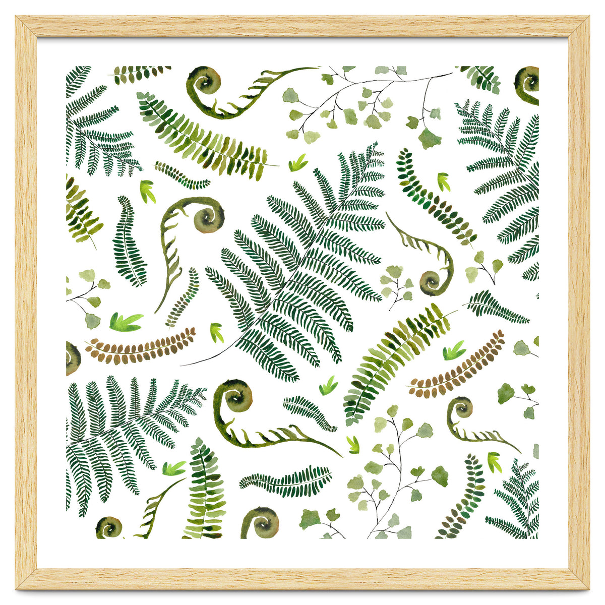 Spring Fern Pattern