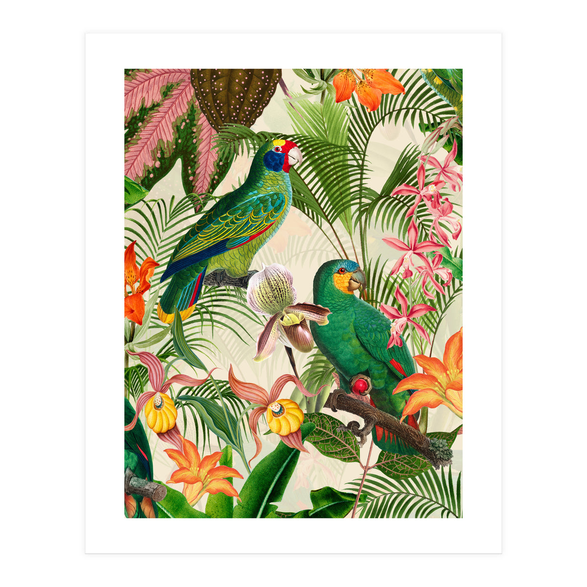 Parrots in tropical Jungle (Print Only)