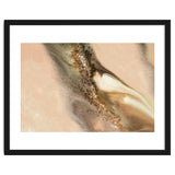 Coastal Dunes thumbnail