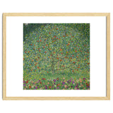 Apple Tree I, 1911 or 1912. Estates of Ferdinand and Adele Bloch-Bauer. thumbnail