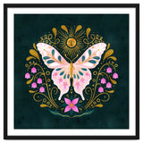 Butterfly And Sun thumbnail