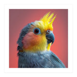 Cockatiel Parrot Head Close Up Portrait (Print Only) thumbnail
