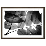 Branches and Leaves, 2016, 3 thumbnail