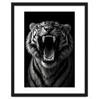 Roaring Tiger portrait