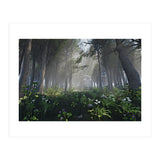 Art In The Forest (Print Only) thumbnail