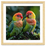 Lovebirds Perched Together On Mossy Branch thumbnail