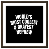 World's most coolest and okayest nephew thumbnail