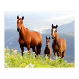 Three Horses (Print Only) thumbnail