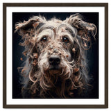 Old Dog 09 thumbnail