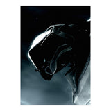 Halo (Print Only) thumbnail