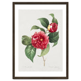 Pierre-Joseph Redouté – Finest Flowers and Fruits (1833) thumbnail