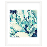 Banana Leaf Crush thumbnail