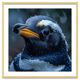 Macro view of a Penguin with Water Droplets thumbnail