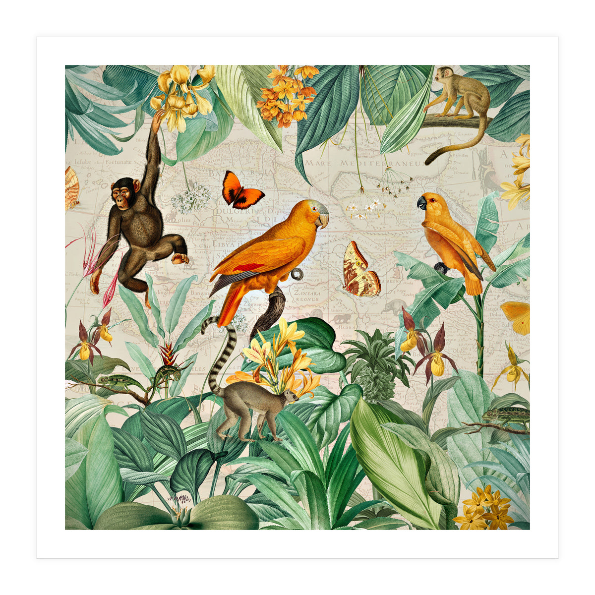 Vintage African Tropical Jungle Fun Animals (Print Only)