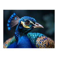 Peacock Head Close Up Majestic Blue Bird (Print Only)