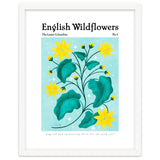 English Wildflowers | Lesser Celandine thumbnail