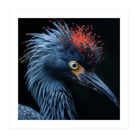 Blue Heron Bird Head With Orange Crown  (Print Only)