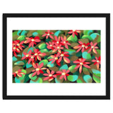 Red flowers thumbnail