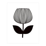 Tulip (Print Only) thumbnail