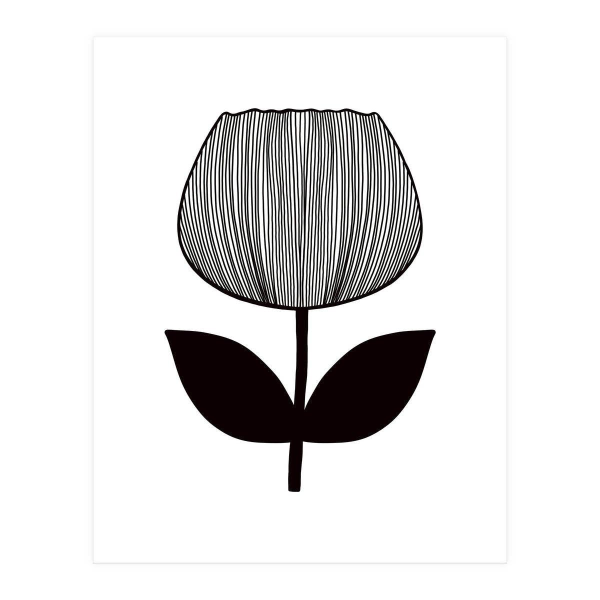 Tulip (Print Only)