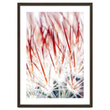 Delicate Florals thumbnail