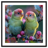 Two Lovebirds On A Branch Surrounded By Berries thumbnail