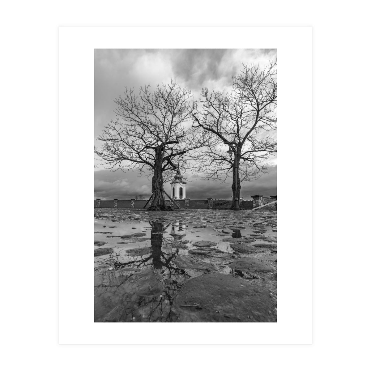 Churches and trees (Print Only)