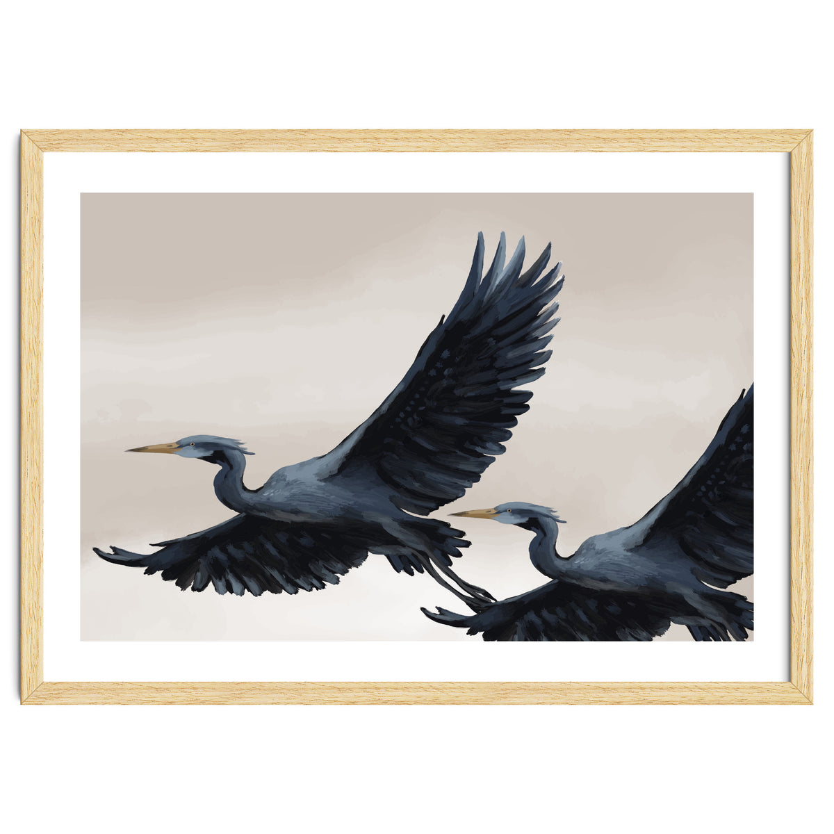 Migrating Herons