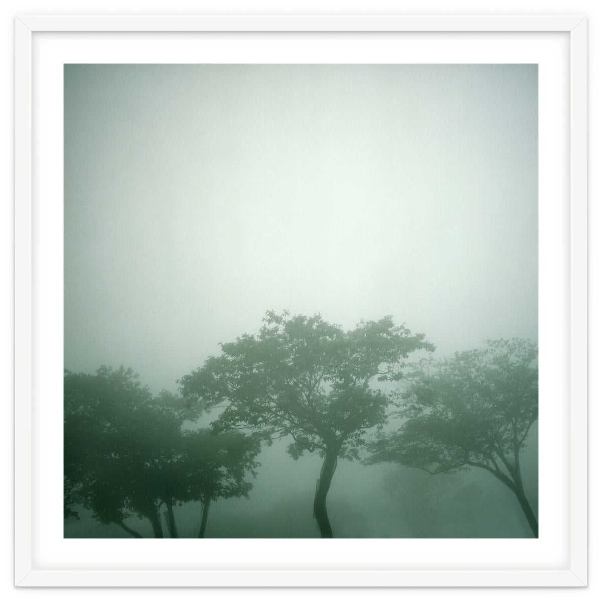 Silence of breath - 17