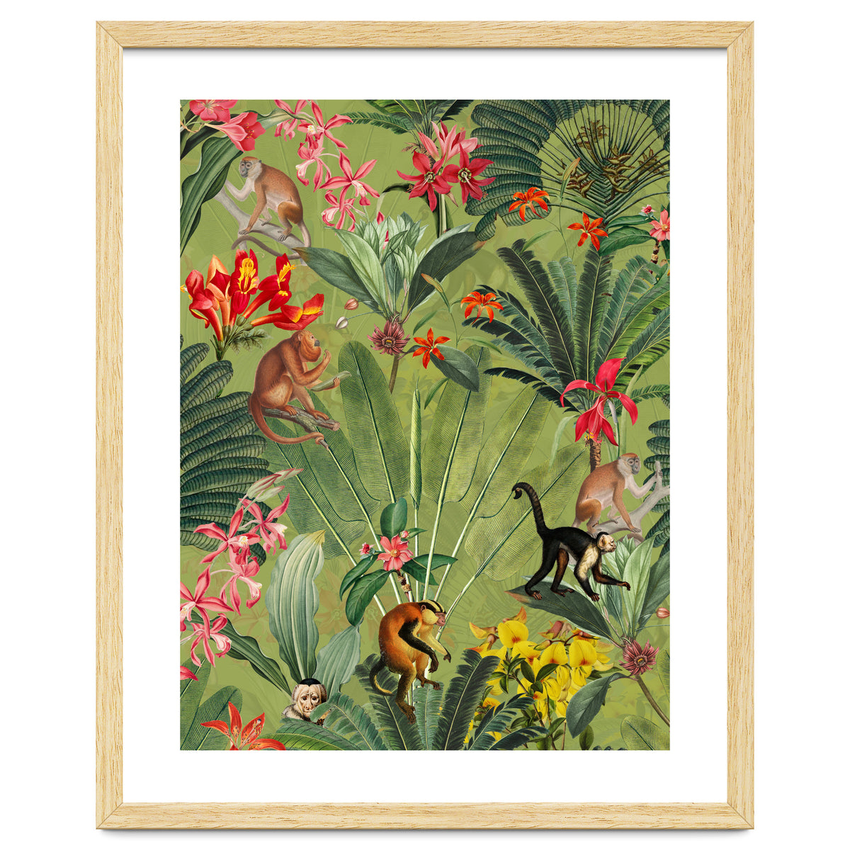 Monkeys In Tropical Jungle Paradise