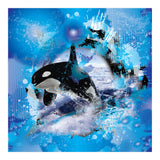 Orca (Print Only) thumbnail