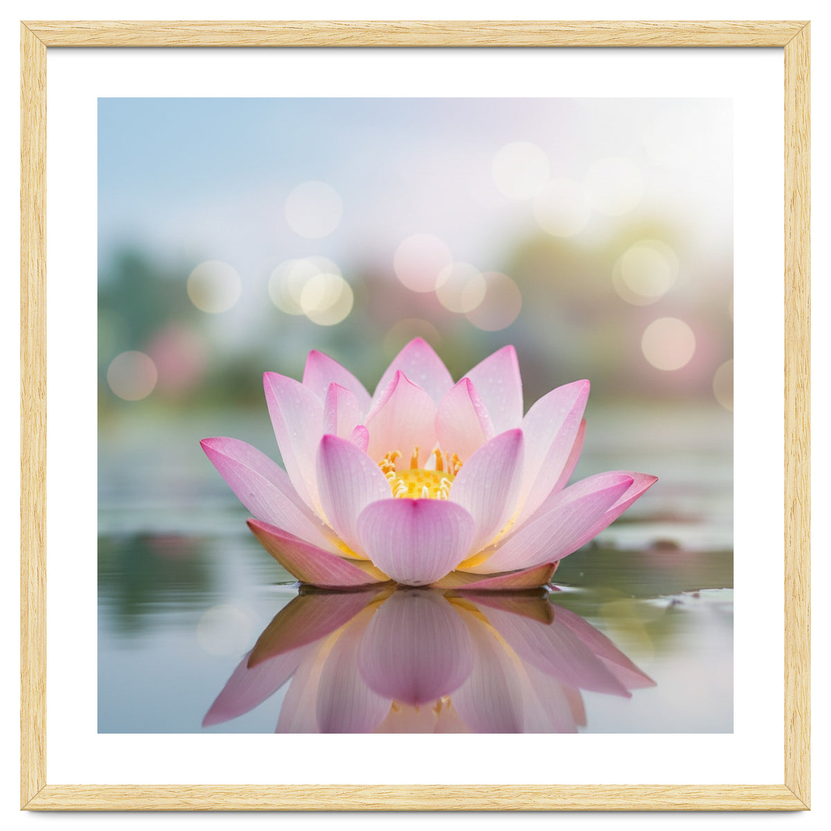 Ethereal Lotus Bloom: Serene Botanical Reflection