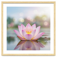 Ethereal Lotus Bloom: Serene Botanical Reflection