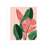 Blush Tropical, Banana Leaves Watercolor Botanical Jungle Painting, Forest Plants Leaves Pink Chic Bohemian (Print Only) thumbnail