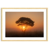 Tree at sunrise thumbnail