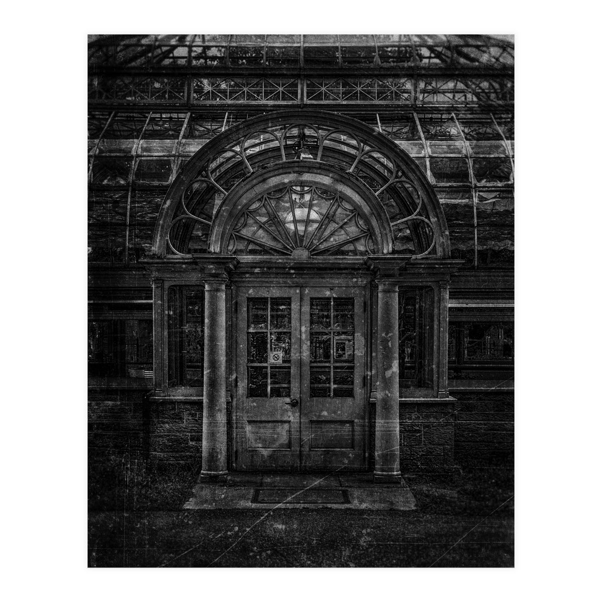 Allan Gardens Conservatory Palm House No 5 Old Film Version (Print Only)