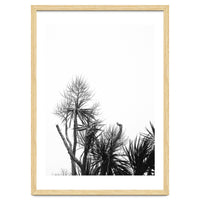 Miminalist Palm