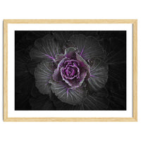 Backyard Flowers No 108 Color Version