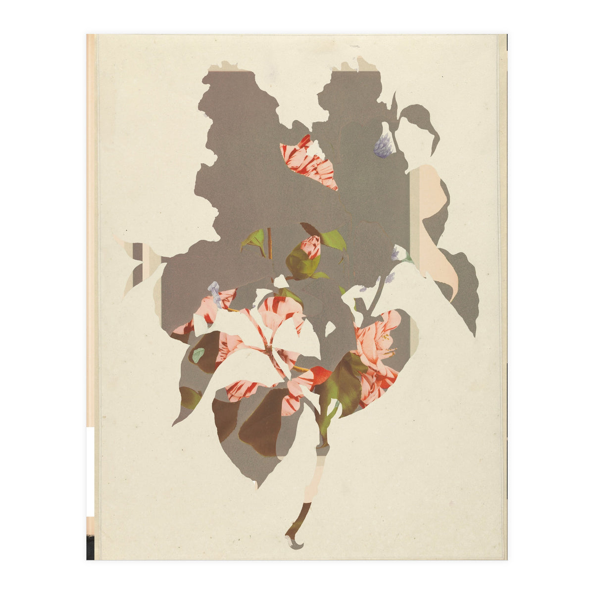 The First Plant · M2 (Print Only)