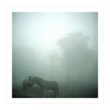 Silence of breath - 15 (Print Only) thumbnail