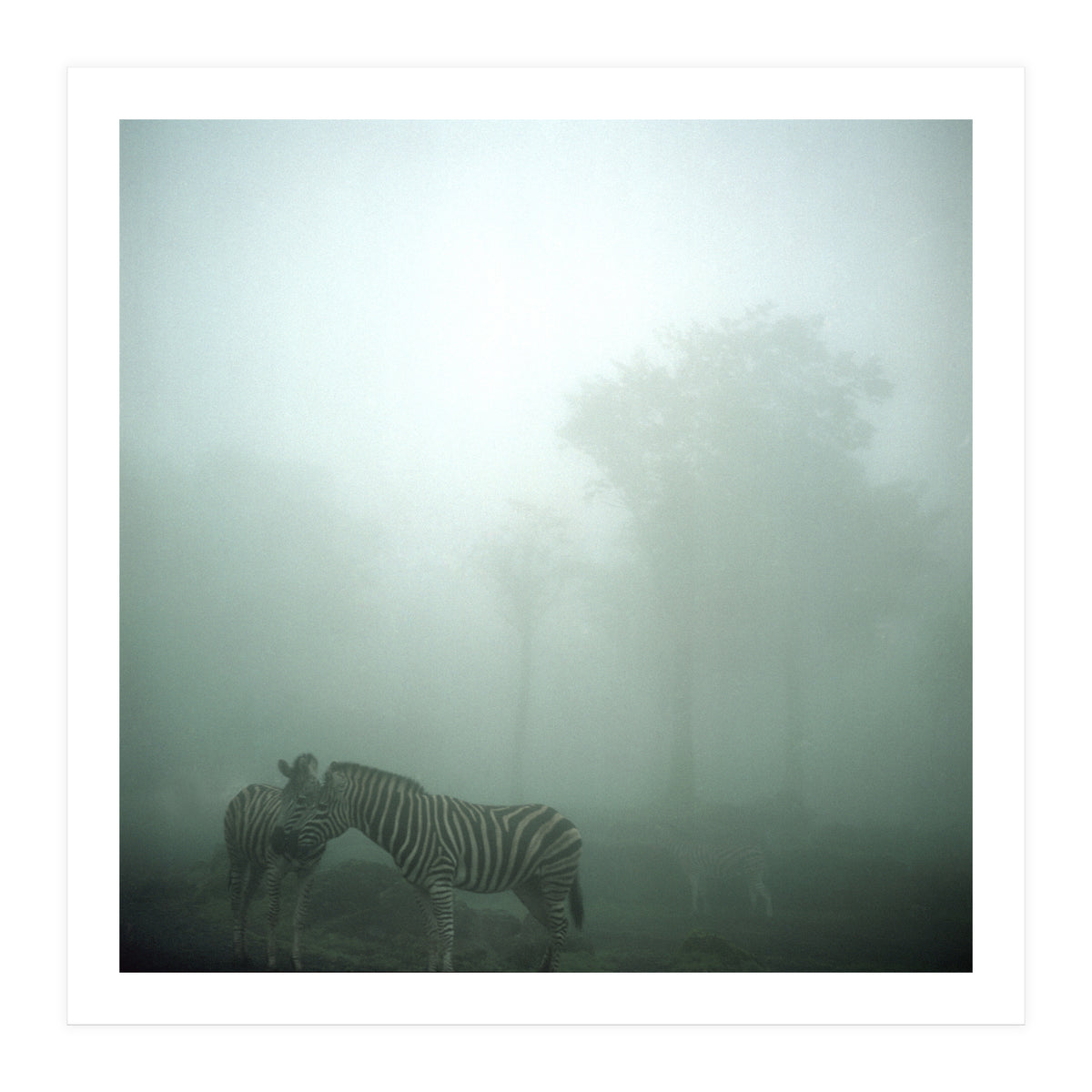 Silence of breath - 15 (Print Only)